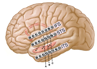 Service Detail Image 2